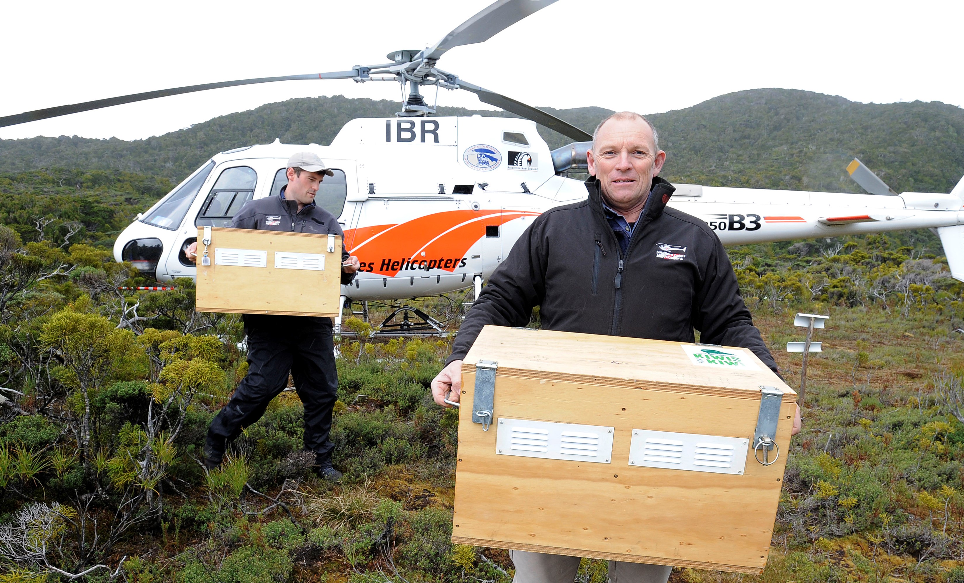 Mike & Heff Conservation Work Relasing The Takahe