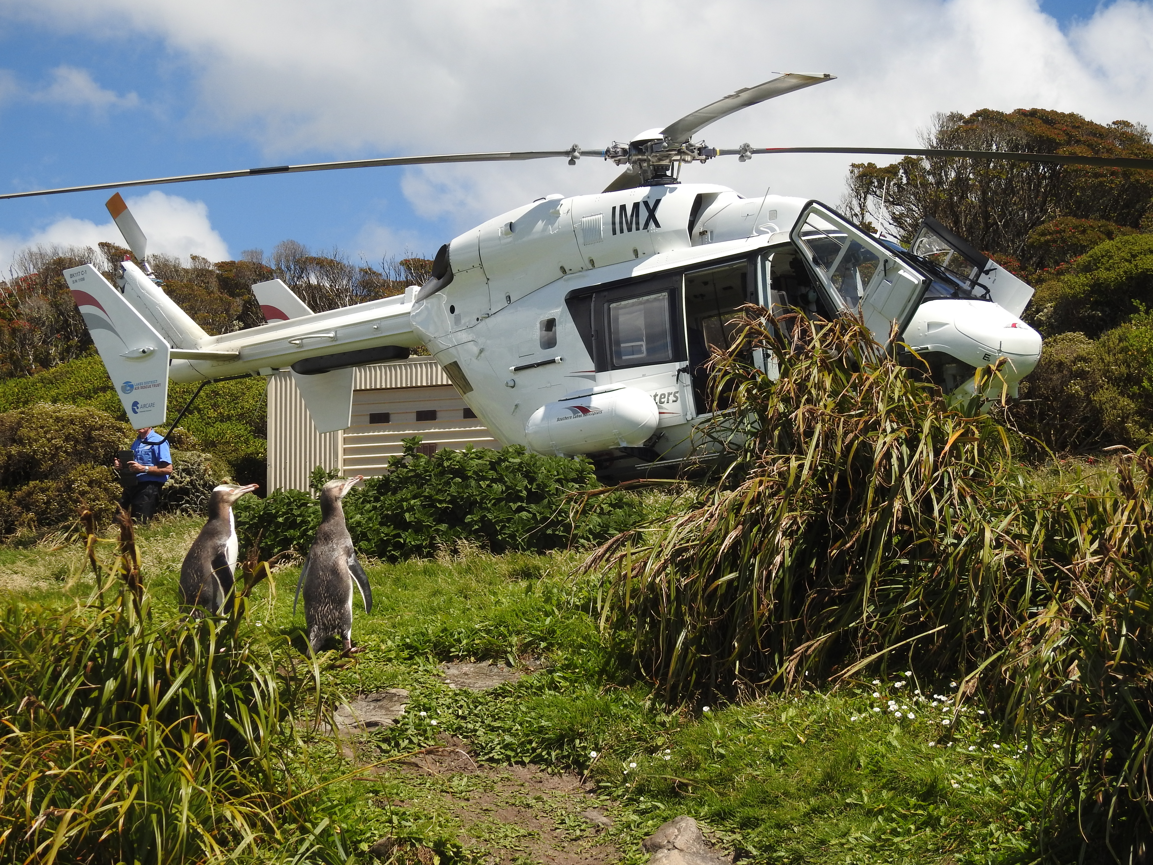Auckland Islands